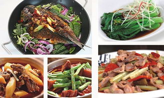 深圳市巴蜀风饮食管理图册 餐饮管理的艺术与科学