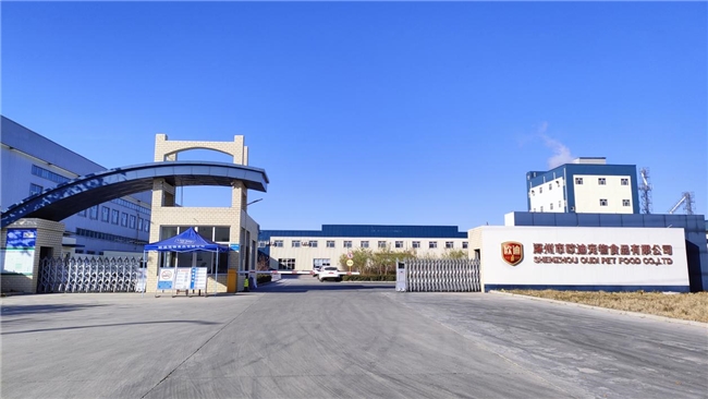 派派猫粮新品上市 科学营养，定义猫咪健康饮食新标杆